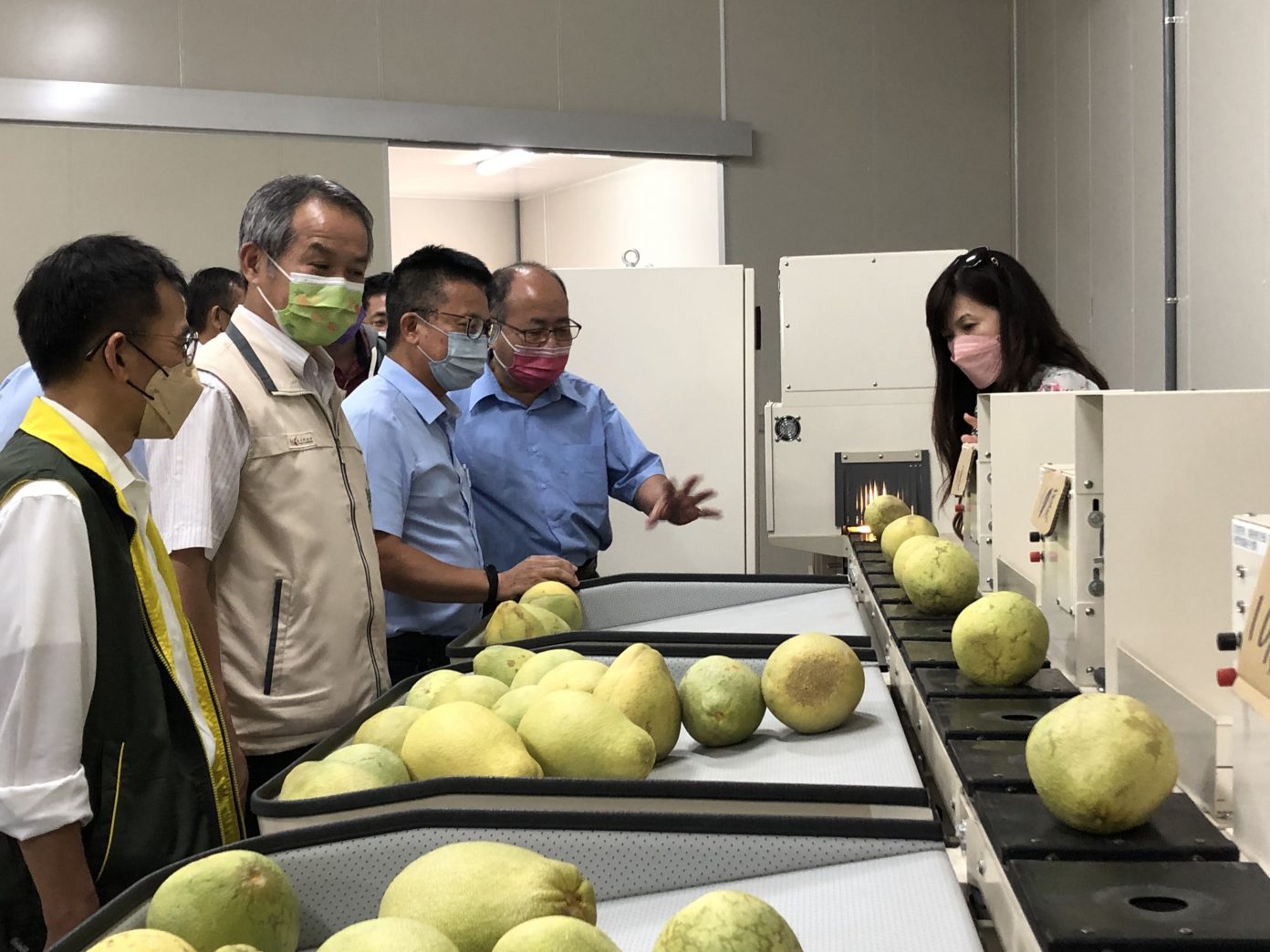 麻豆農會添利器 文旦大果加值 | 中華日報|中華新聞雲